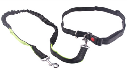 Pet Gear
