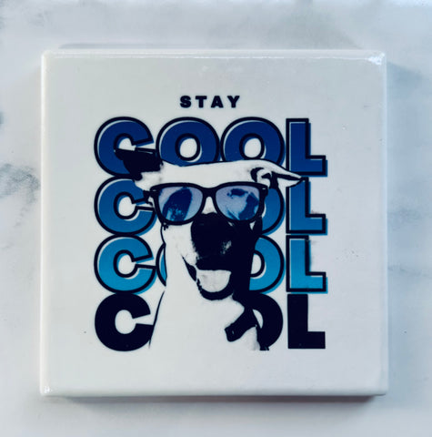 Cool Bandit Coaster 4" (square)