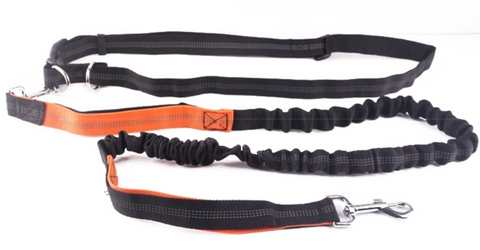Stretch nylon dog running leash - Orange